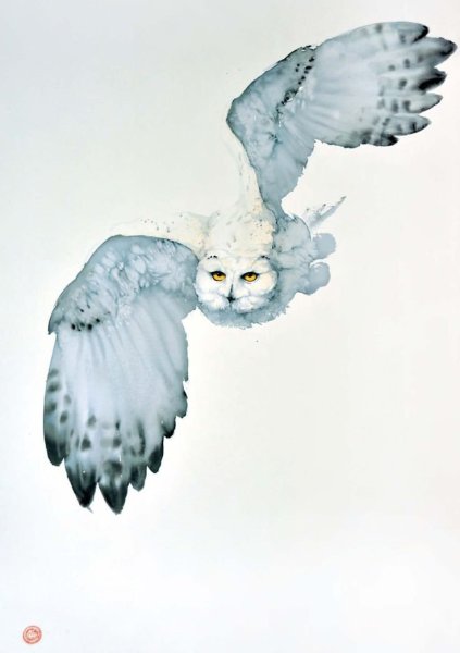 Сова Karl Martens