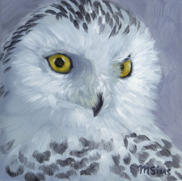 Полярная Сова акварель