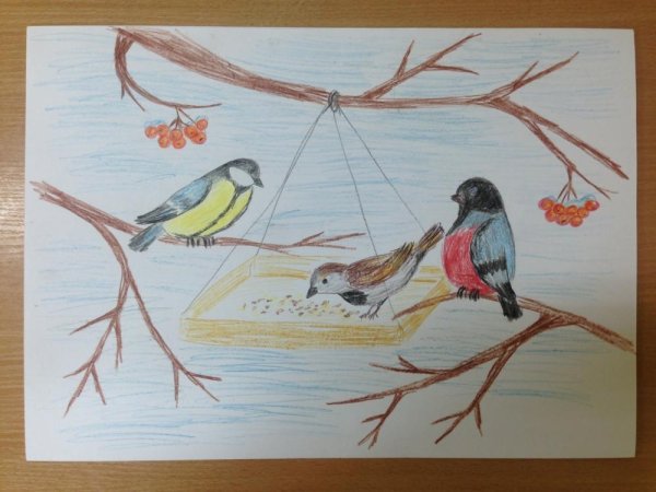 Зимующие птицы Башкортостана