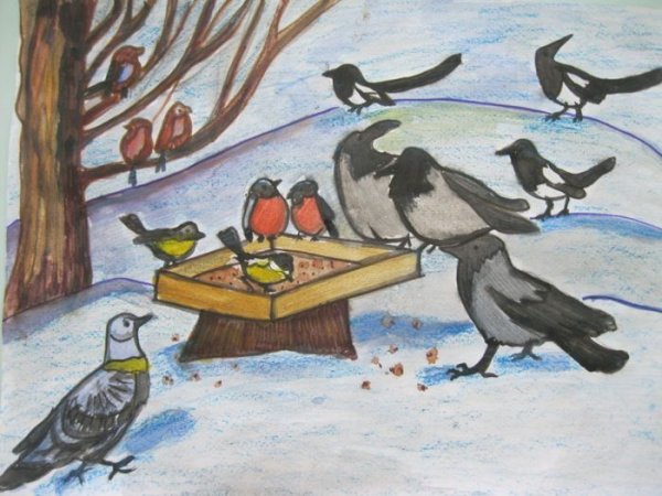 Зимующие птицы Башкирии