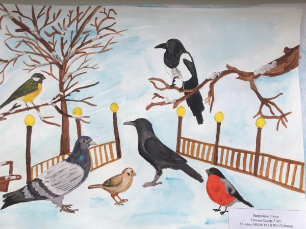 Зимующие птицы Башкирии рисунки