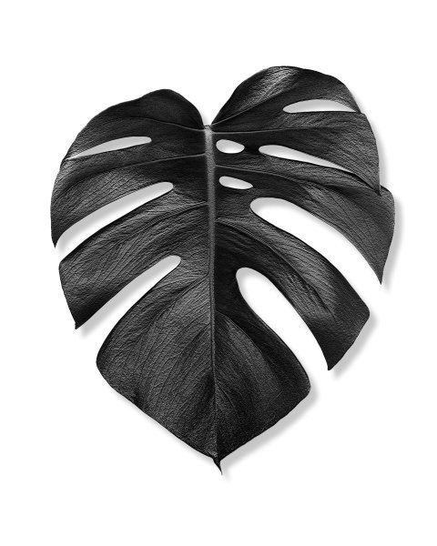 Monstera Leaf Print,