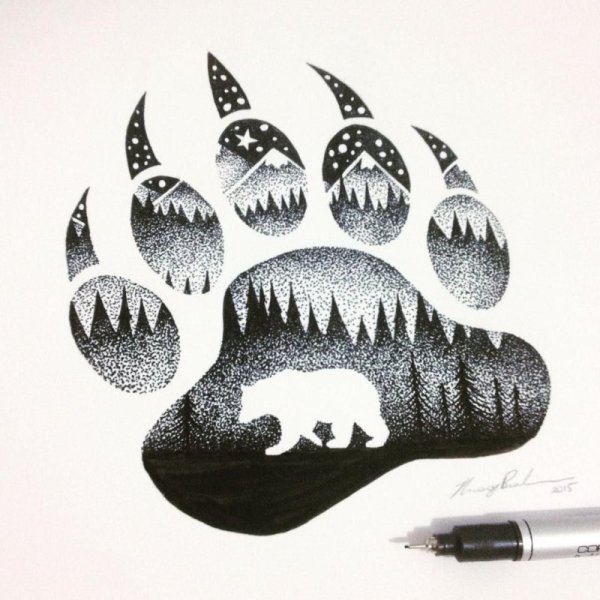 Лапа медведя Графика