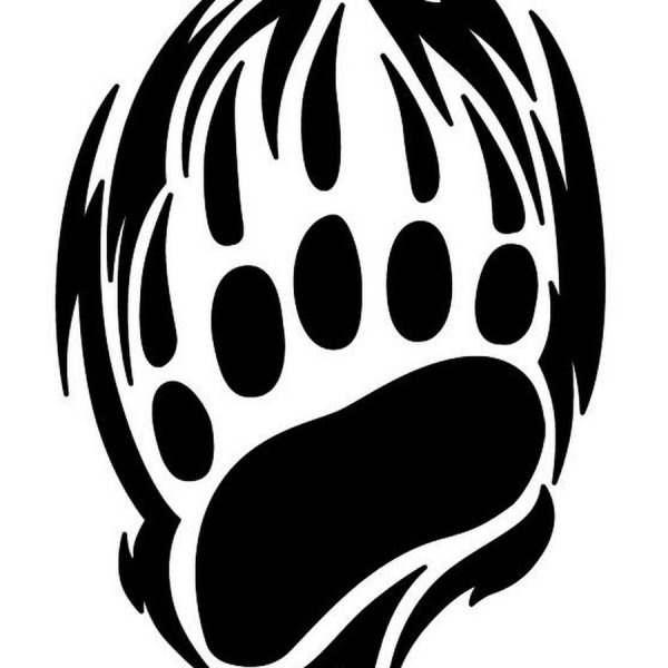 Отпечаток лапы медведя