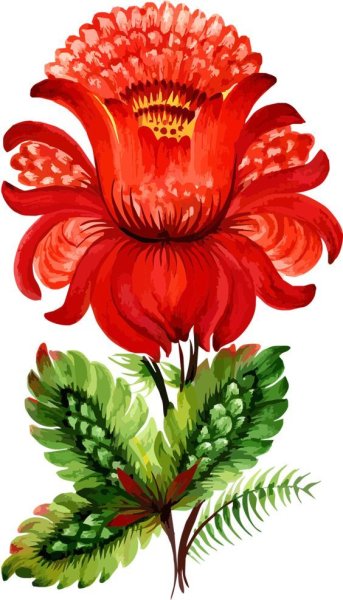 Аленький цветочек цветок