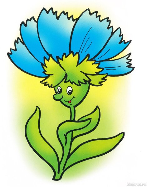 Цветочек Вася Василек