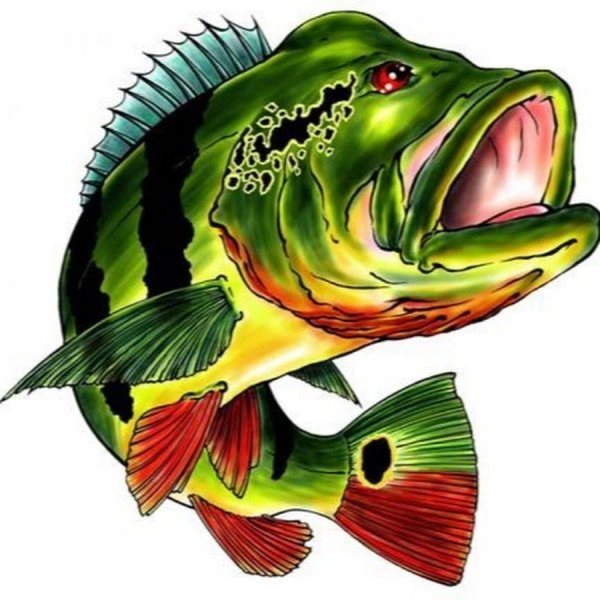 Окунь мультяшный