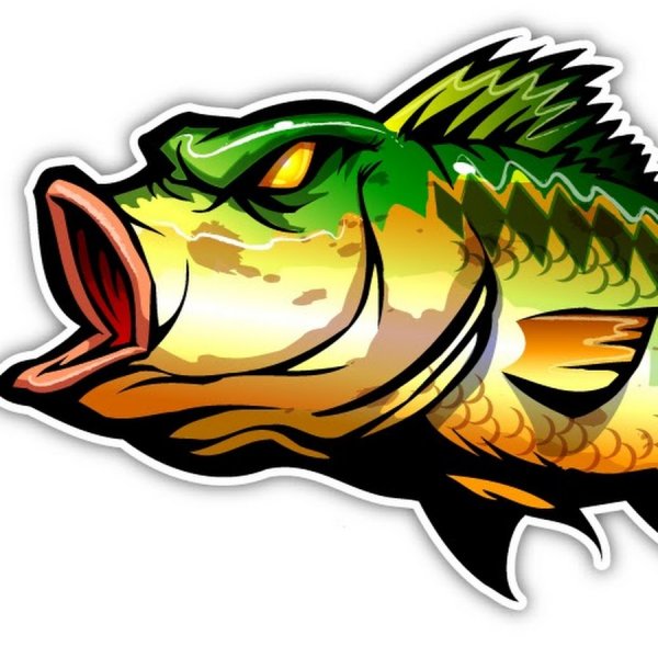 Окунь вектор