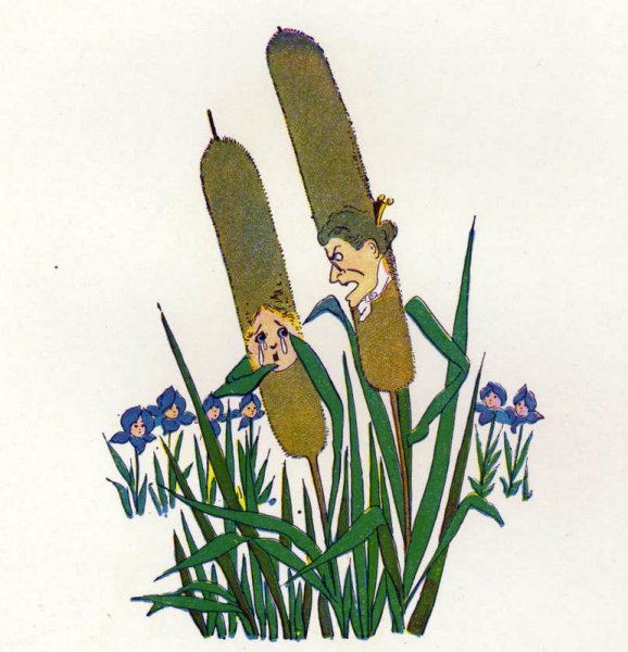 Весёлые камыши