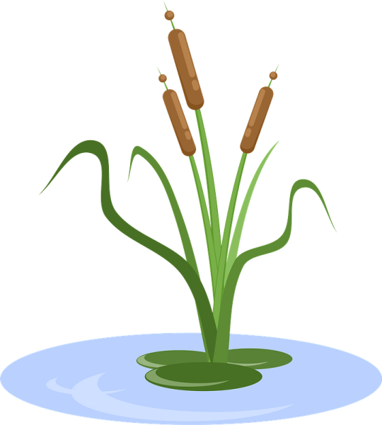 Трава рисунок