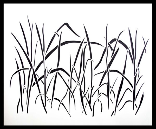 Камыш карандашом