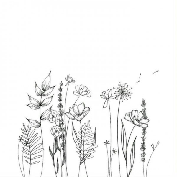 Полевые цветы Графика
