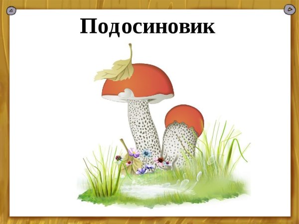 Гриб подосиновик раскраска