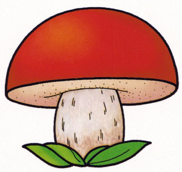 Рисовать гриб подосиновик