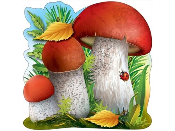 Гриб подосиновик вектор