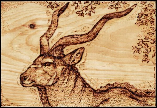 Контурная резьба по дереву