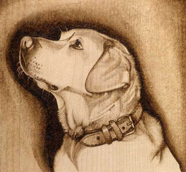 Пирография Выжигание по дереву