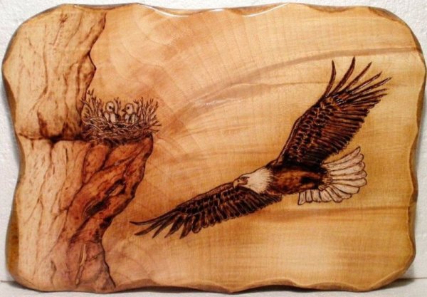 Пирография тигр