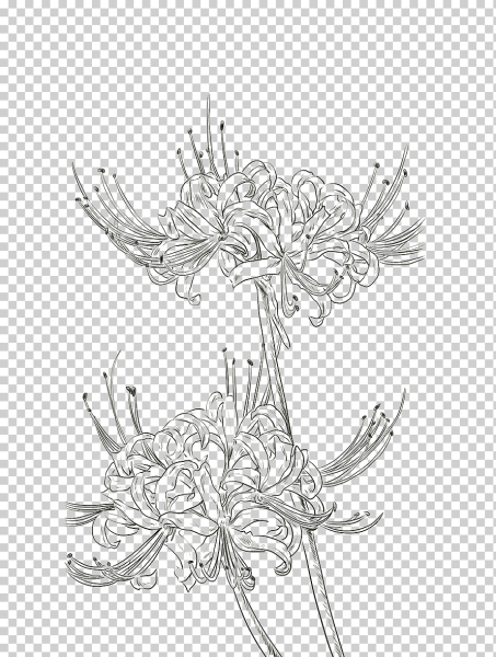 Хиганбана Паучья Лилия тату