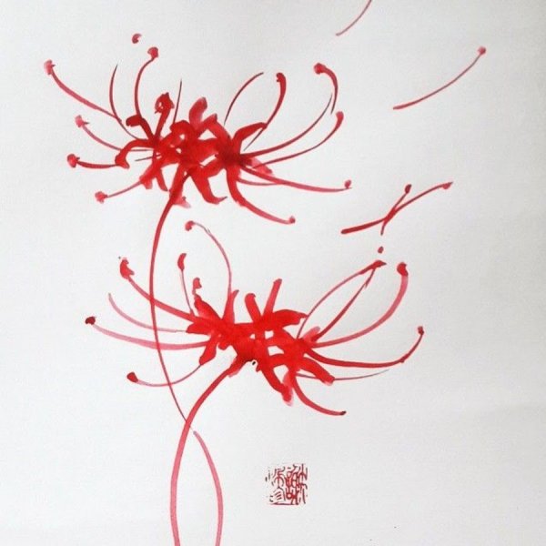 Хиганбана ликорис тату