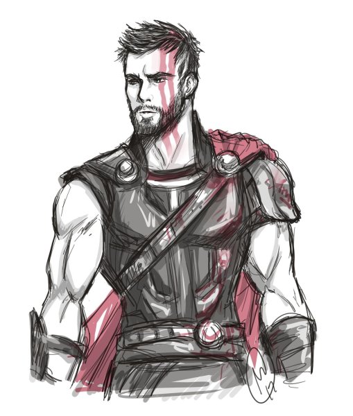 Тор раскраска