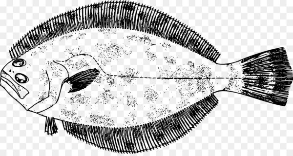 Камбала раскраска