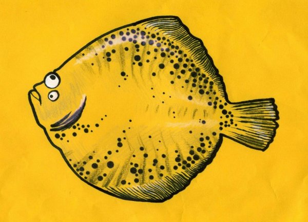 Рыба на желтом фоне
