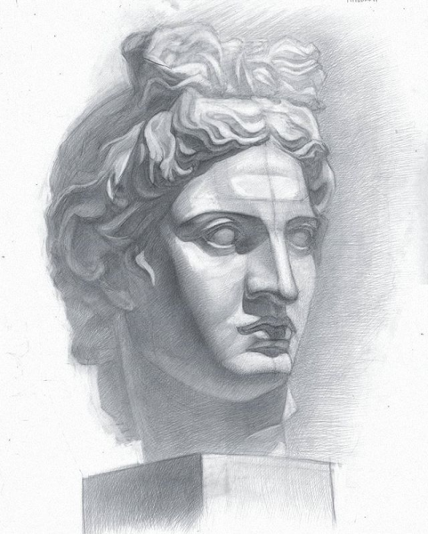 Академический портрет гипсовой головы