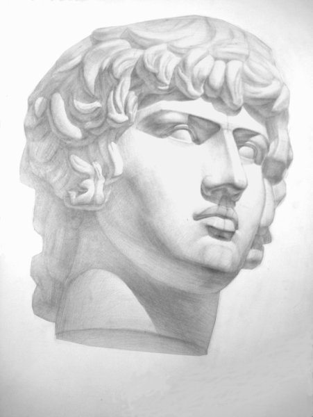 Гипсовая голова Геракла Штиглица