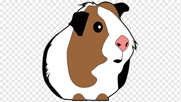 Морской Свин раскраска