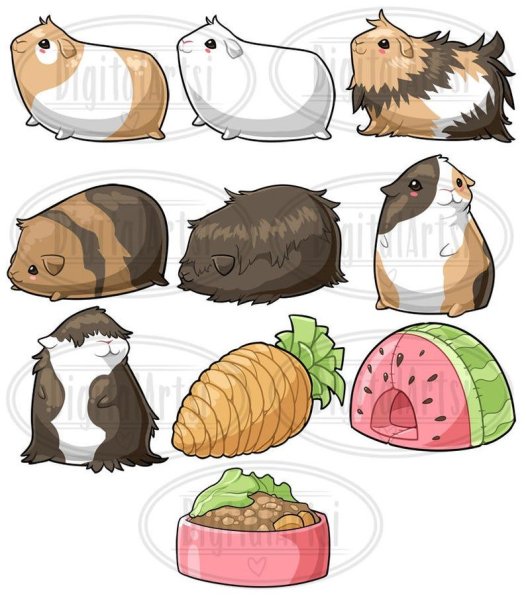 Геннадий Снегирев морская Свинка