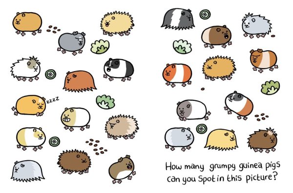 Морские свинки