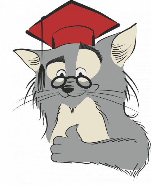 У Лукоморья дуб зеленый кот ученый