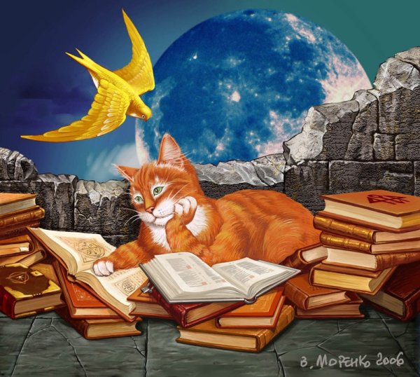 Кот ученый черно белый