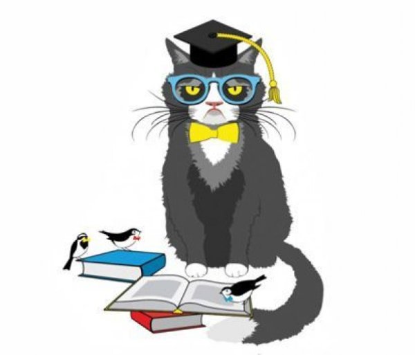 Александр Сергеевич Пушкин дуб зеленый