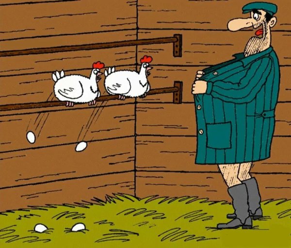 Курятник карикатура