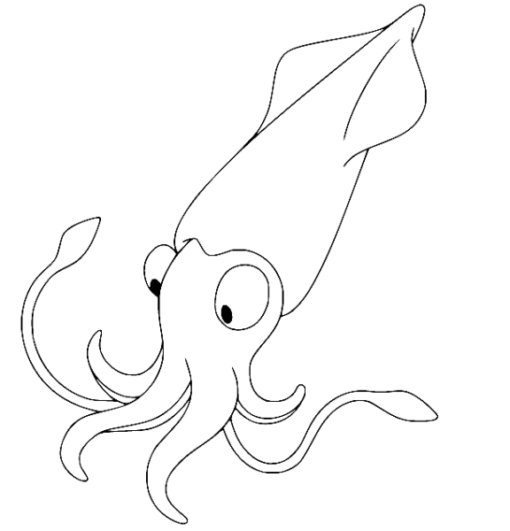 Кальмар рисунок для детей