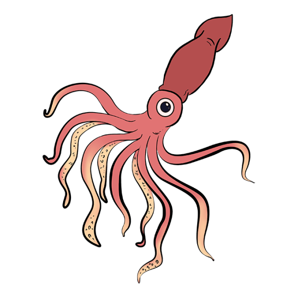 Кальмар Squid