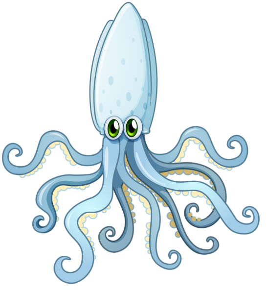 Кальмар раскраска