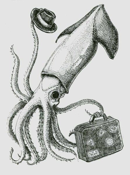 Пелагический кальмар