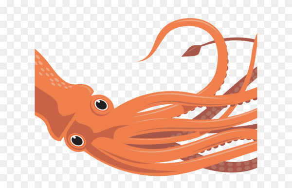 Головоногие моллюски гигантский кальмар