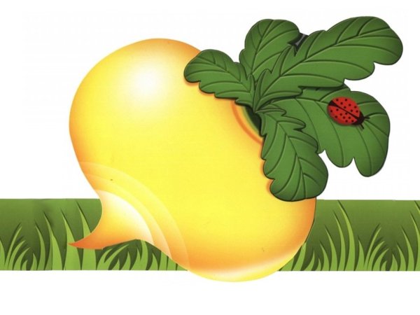 Репа и Репка