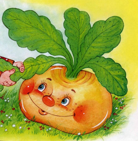 Репа для детей