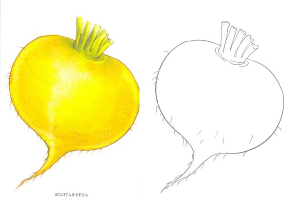 Репка из Репки