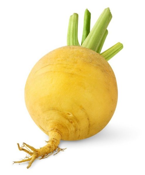 Репка картинка