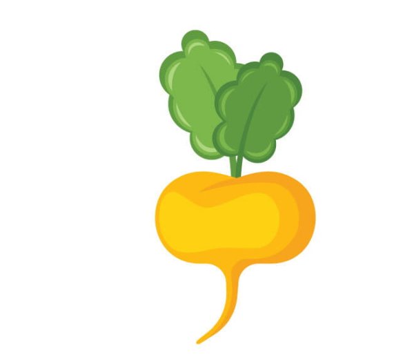 Раскраска Репка овощ