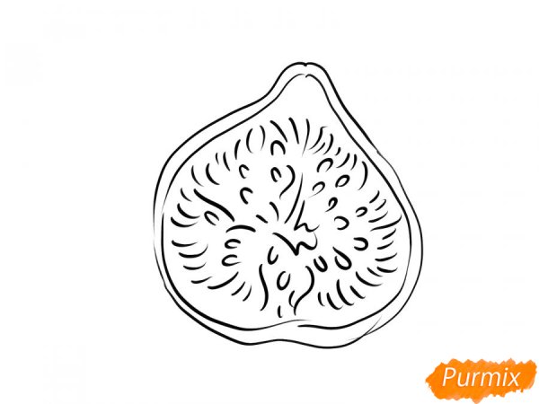 Инжир раскраска