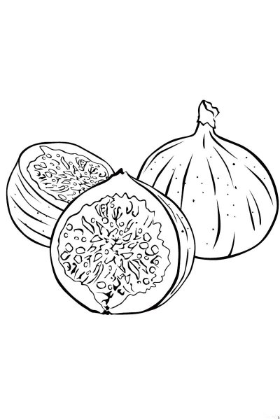 Инжир раскраска для детей