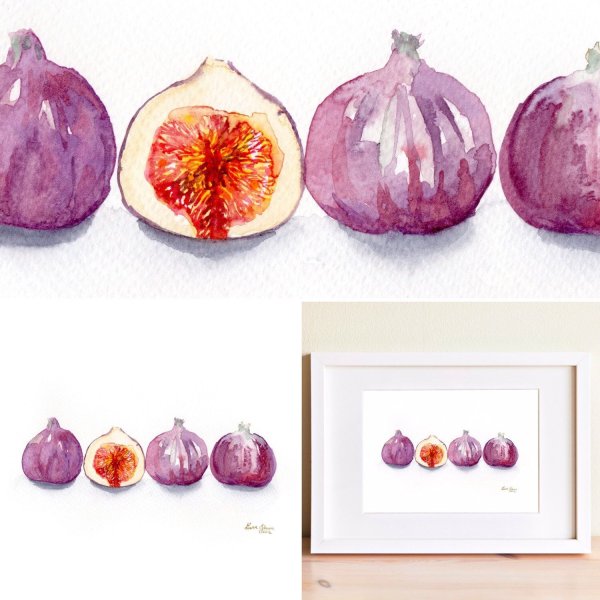 Инжир Ботаническая иллюстрация