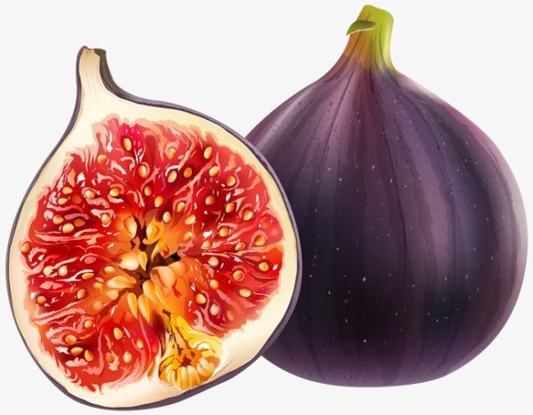 Fig инжир рисунки